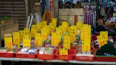 emerging market investment potential