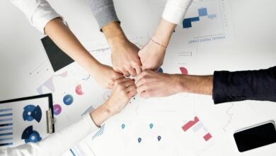 innovation and growth analysis