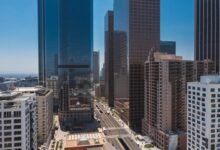 market expansion and innovation