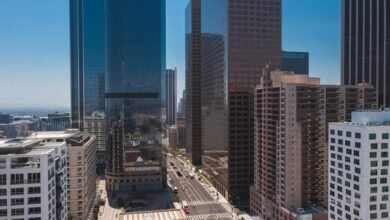 market expansion and innovation